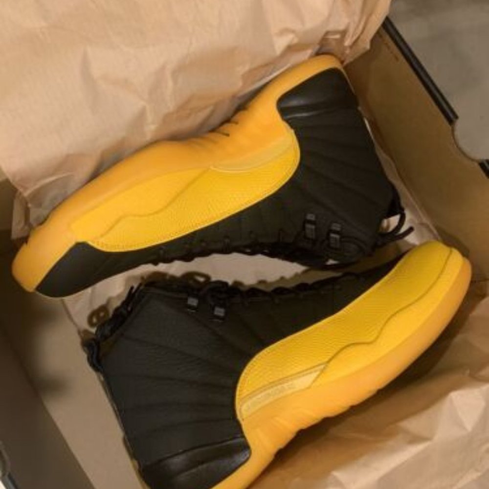 Air Jordan retro 12